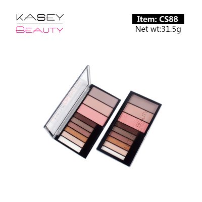 CS0088 CS0088