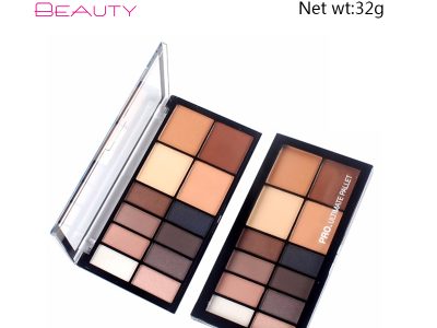 Luxury private label cosmetics 12 colors eyeshadow palette high pigment ES0317