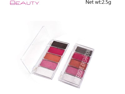 Palette de fards à paupières intensifs Private Label 5 couleurs ES0381