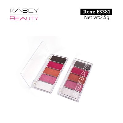 Private label intensive eyeshadow palette 5 colors ES0381 Private label intensive eyeshadow palette 5 colors ES0381
