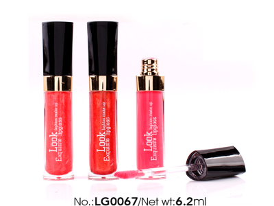 Custom Lip gloss LG0067