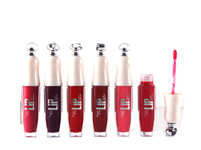 Custom Lip gloss LG0255