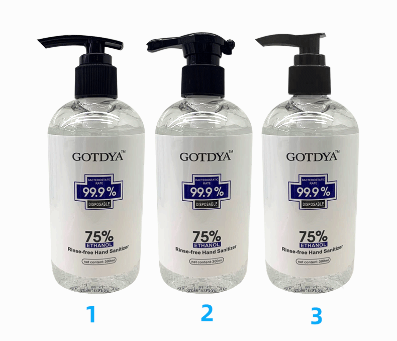300ml Rinse-free Hand Sanitizer 75% Alcohol In Stock - HS008
