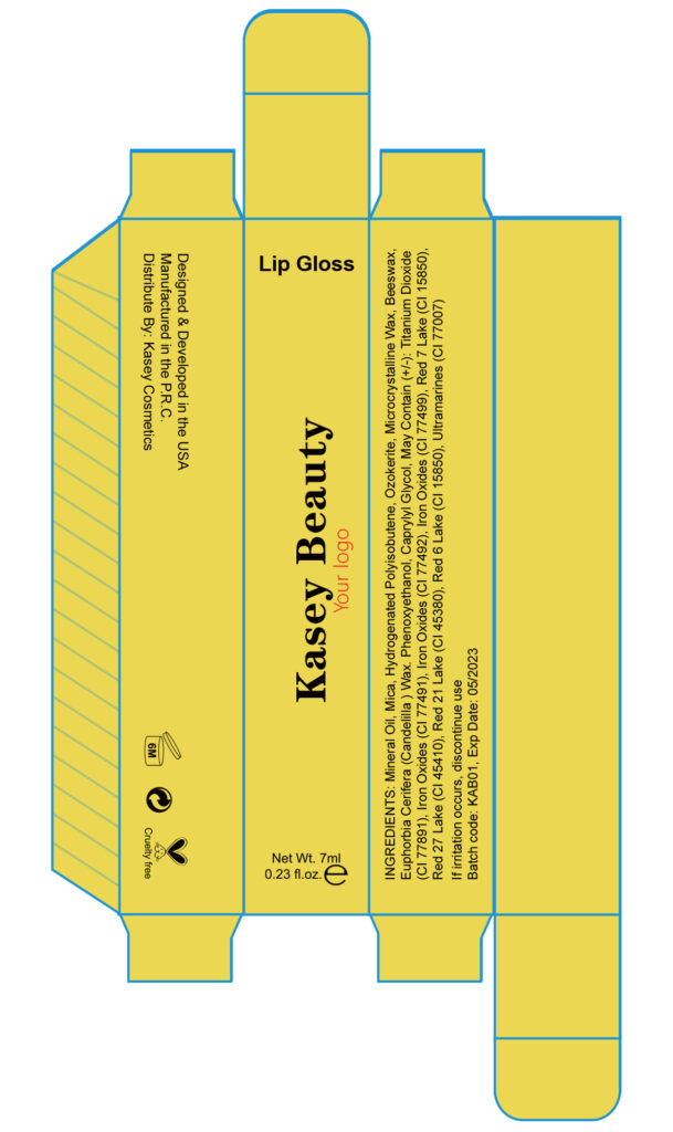 Lip plumper lip gloss - LG0151