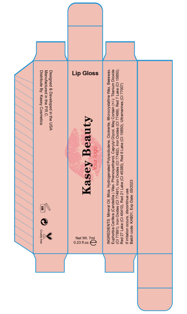 Cosmetic contract manufacturers for lip gloss / liquid lipstick - LG0437