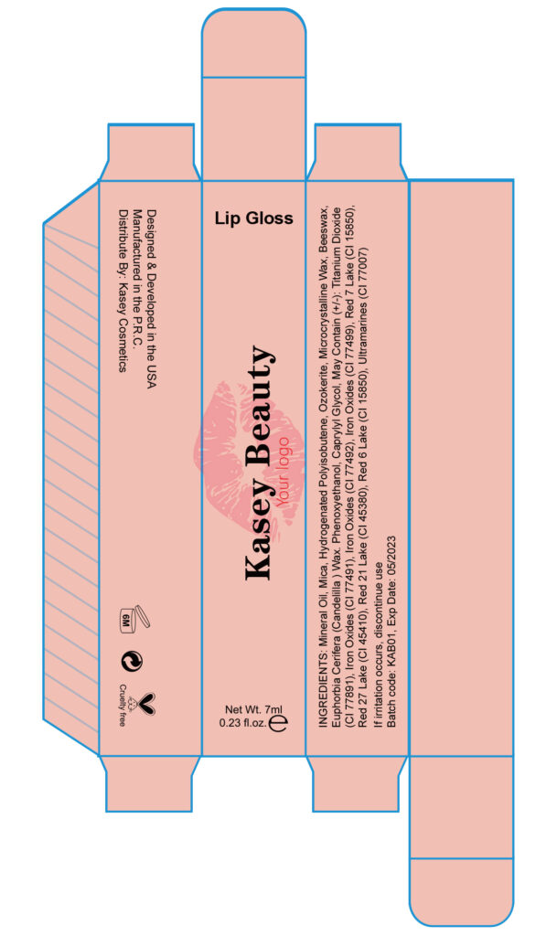 High end lip gloss makeup manufacturers - LG0252 High end lip gloss makeup manufacturers - LG0252