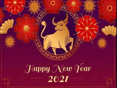 Chinese New Year Holiday Notify