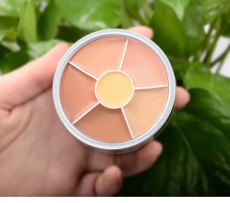 Private Label Concealer & Corrector - FA0216
