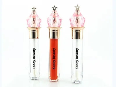 Eigenmarke Lipgloss-Hersteller | LG0395