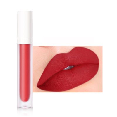 Velvet matte texture liquid lipstick Private label Velvet matte texture liquid lipstick Private label