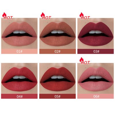 Private Label Matte Lipgloss Velvet Texture (1) Private Label Matte Lipgloss Velvet Texture (1)