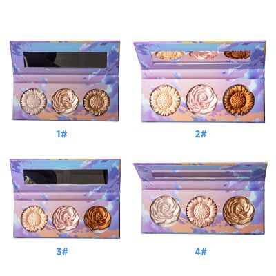 Private Label Creative 3D Powder makeup palette (Highlighter & Bronzer & Blusher) Private Label Creative 3D Powder makeup palette (Highlighter & Bronzer & Blusher)