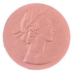 Top Cosmetic Manufacturers in China （Highlighter & Blusher）- FA0278