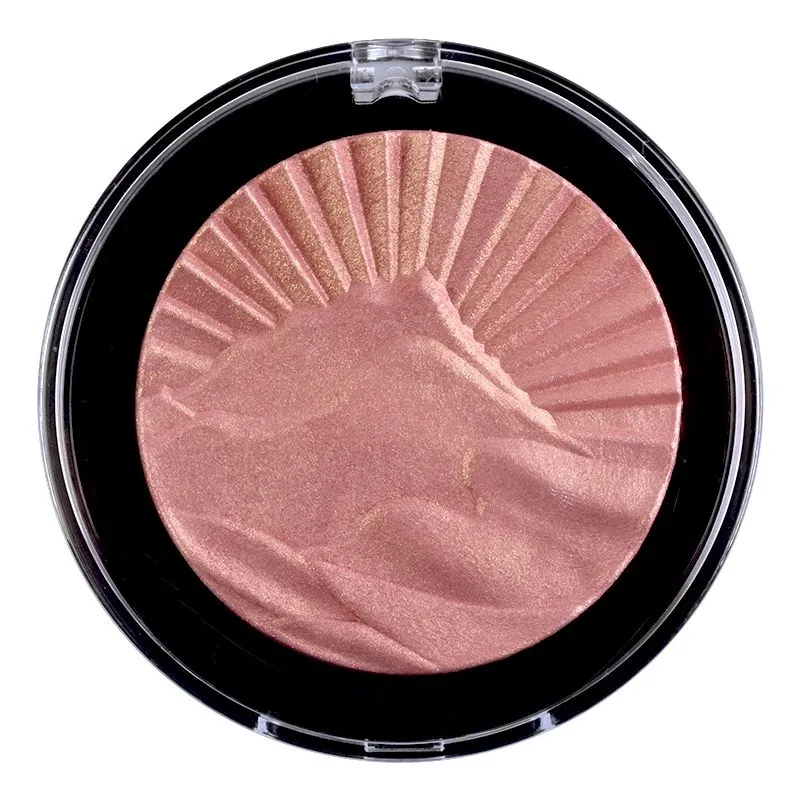 Private Label Blusher & Highlighter & Bronzer - FA0276