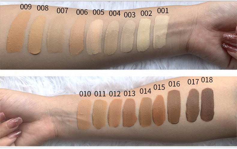 Private label for cosmetics _ Liquid Concealer - FA0304