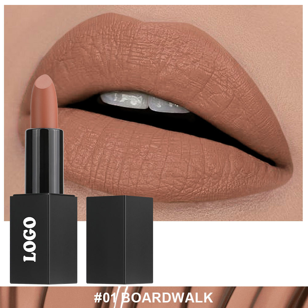 Private Cosmetic Manufacturers _ Matte lipstick - LS0693