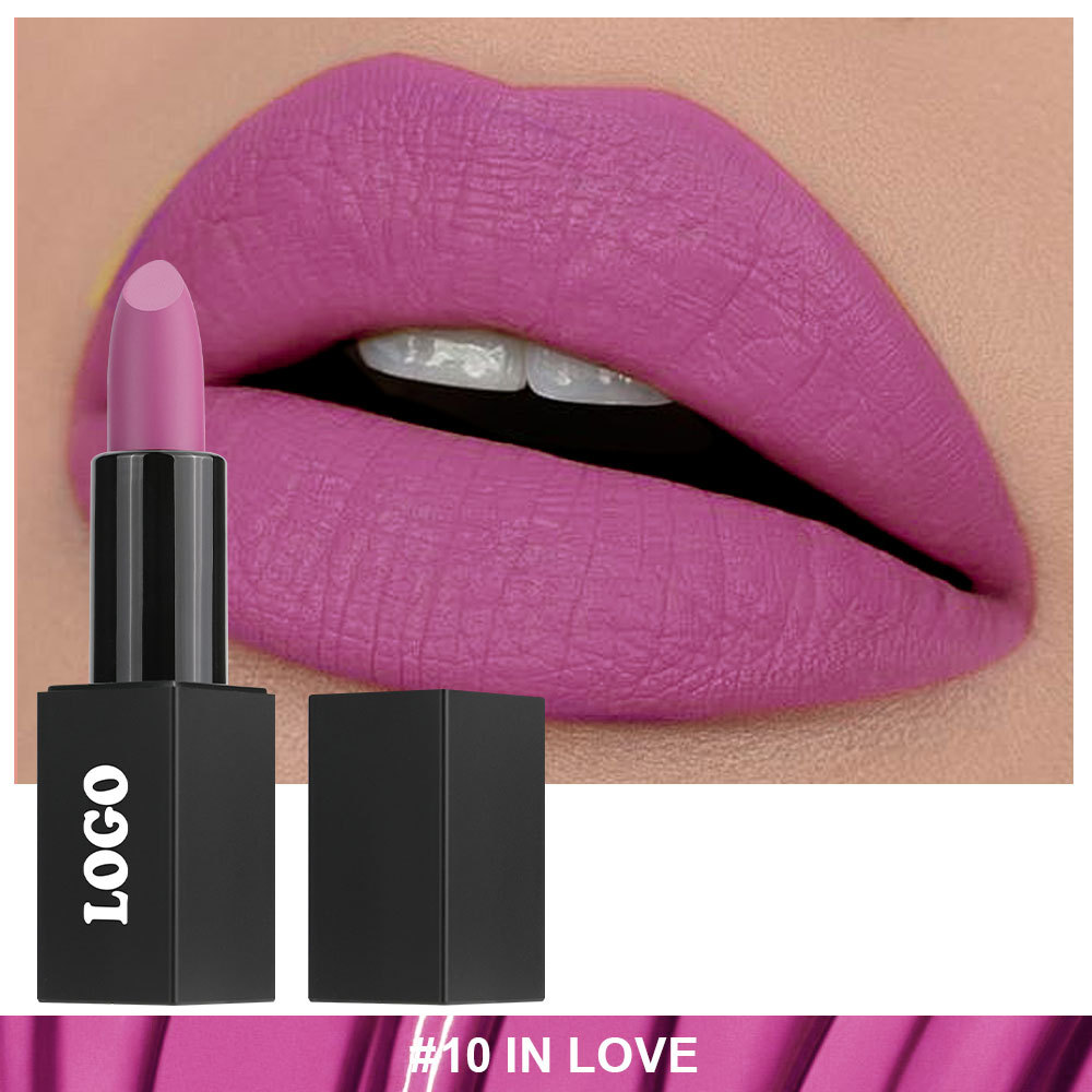 Private Cosmetic Manufacturers _ Matte lipstick - LS0693