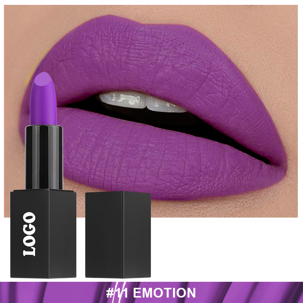 Private Cosmetic Manufacturers _ Matte lipstick - LS0693