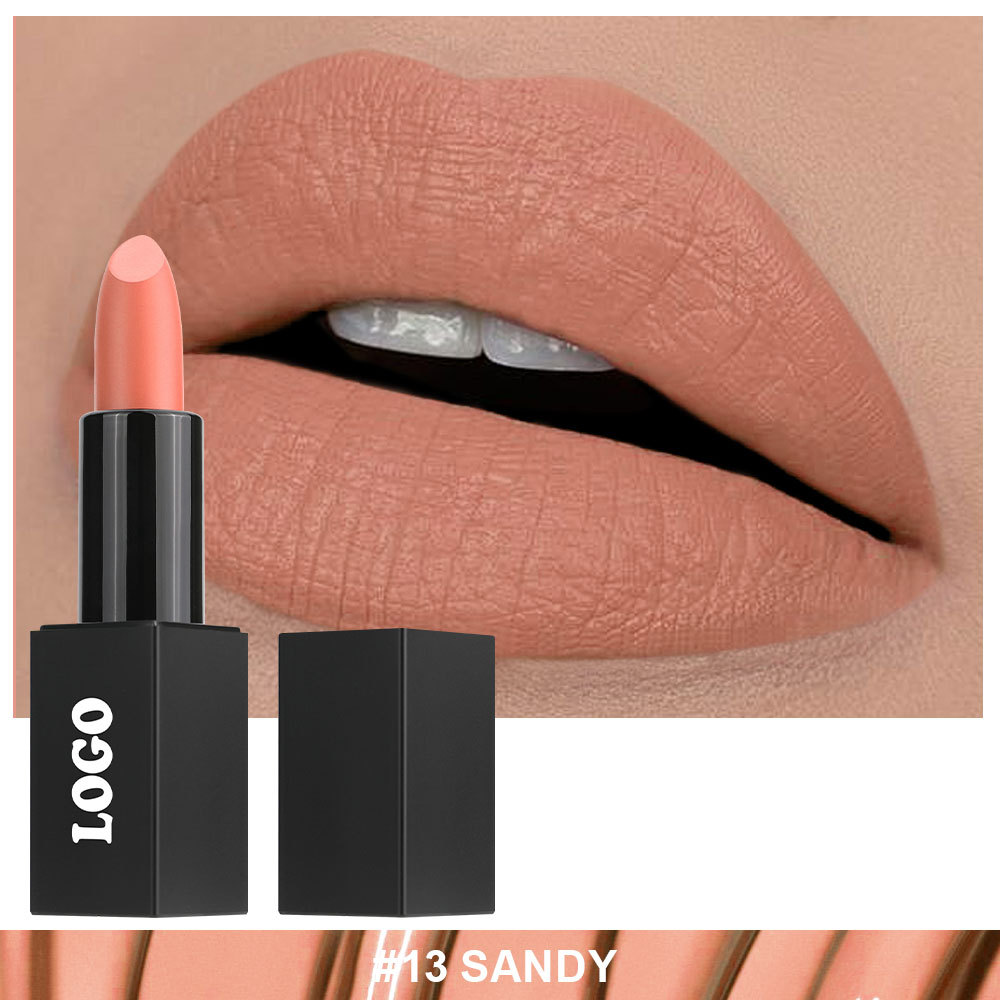 Private Cosmetic Manufacturers _ Matte lipstick - LS0693
