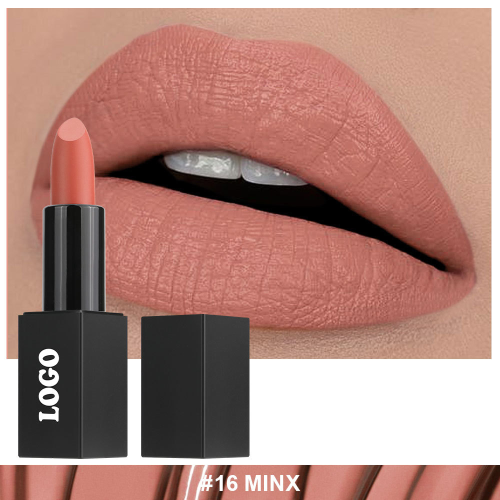 Private Cosmetic Manufacturers _ Matte lipstick - LS0693