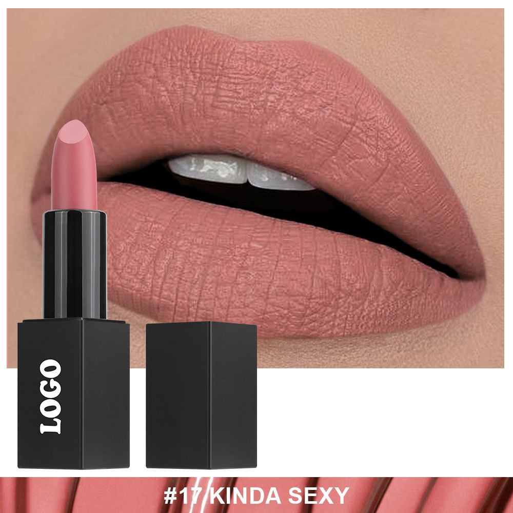 Private Cosmetic Manufacturers _ Matte lipstick - LS0693