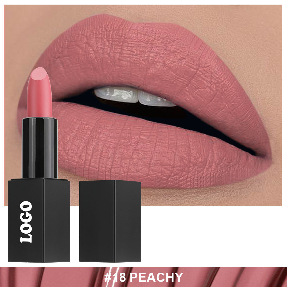 Private Cosmetic Manufacturers _ Matte lipstick - LS0693