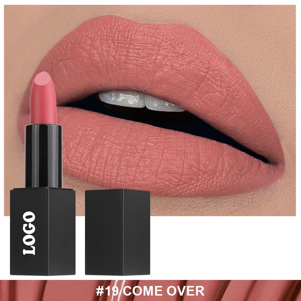 Private Cosmetic Manufacturers _ Matte lipstick - LS0693