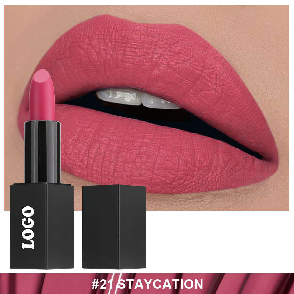 Private Cosmetic Manufacturers _ Matte lipstick - LS0693