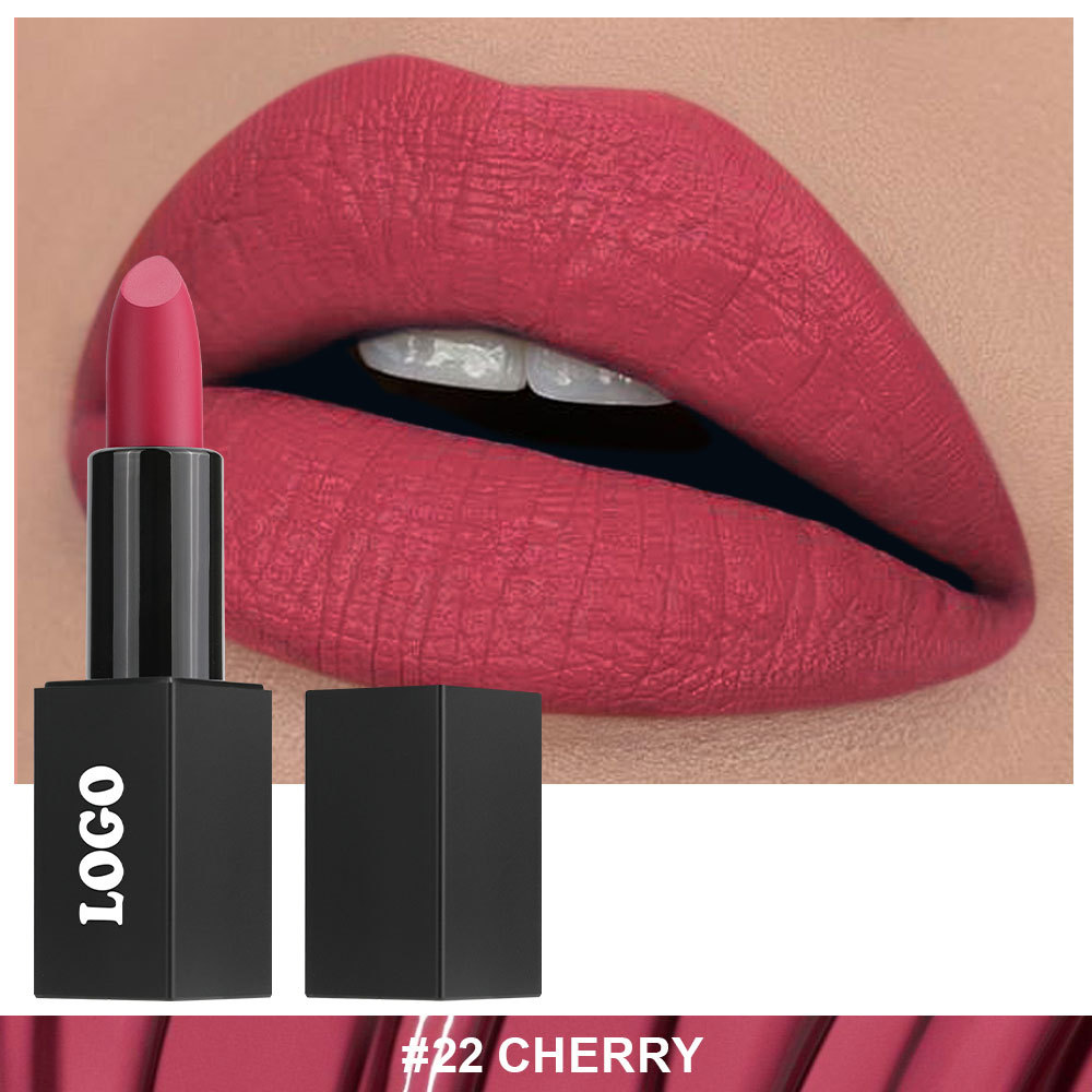 Private Cosmetic Manufacturers _ Matte lipstick - LS0693