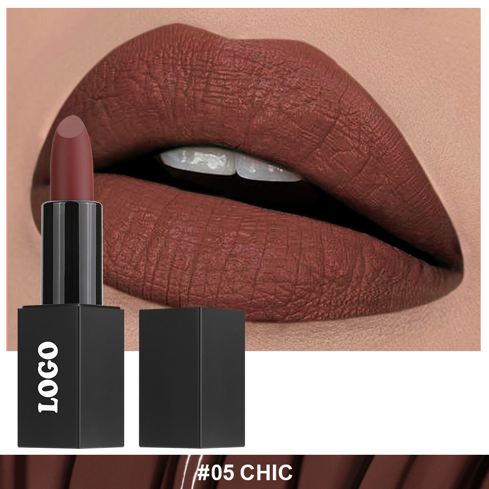 Private Cosmetic Manufacturers _ Matte lipstick - LS0693