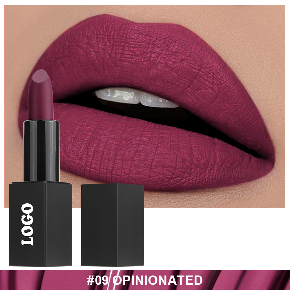 Private Cosmetic Manufacturers _ Matte lipstick - LS0693