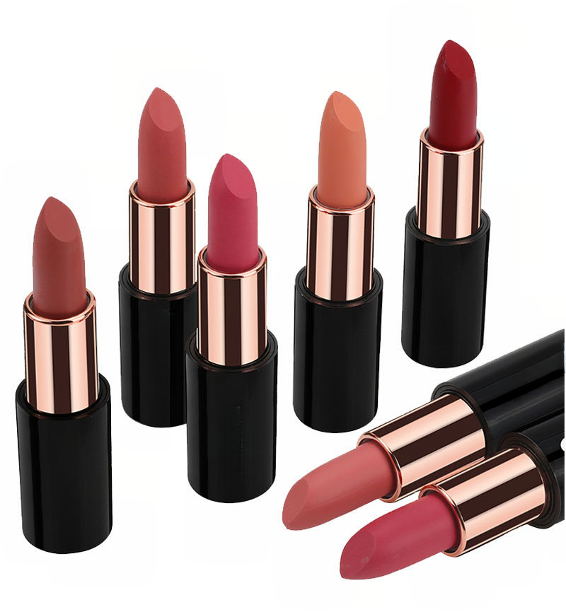 Private Cosmetic Manufacturers _ Matte lipstick - LS0693