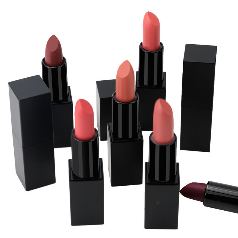 Private Cosmetic Manufacturers _ Matte lipstick - LS0693
