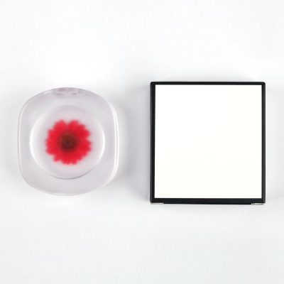 Private label PH Color changing blush