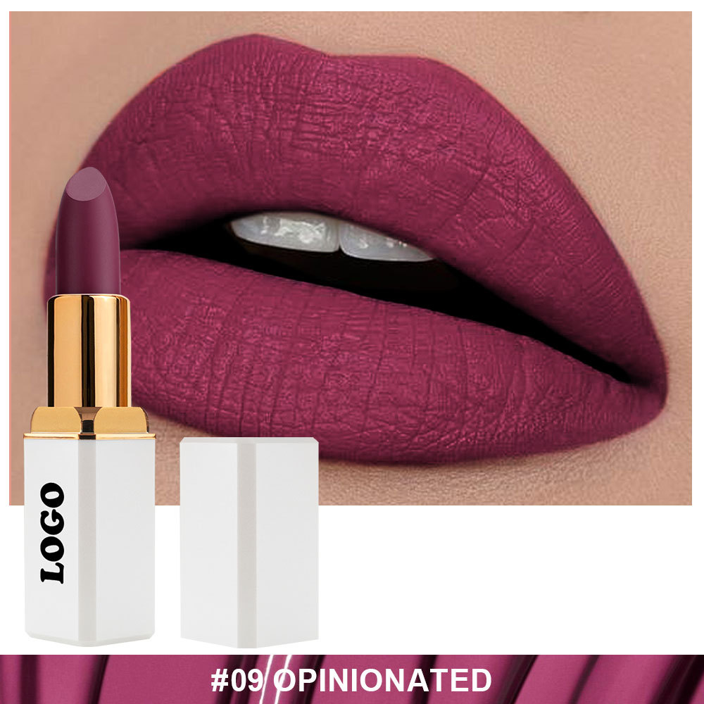 Wholesale Private Label Matte Lipstick Manufacturer LS0777