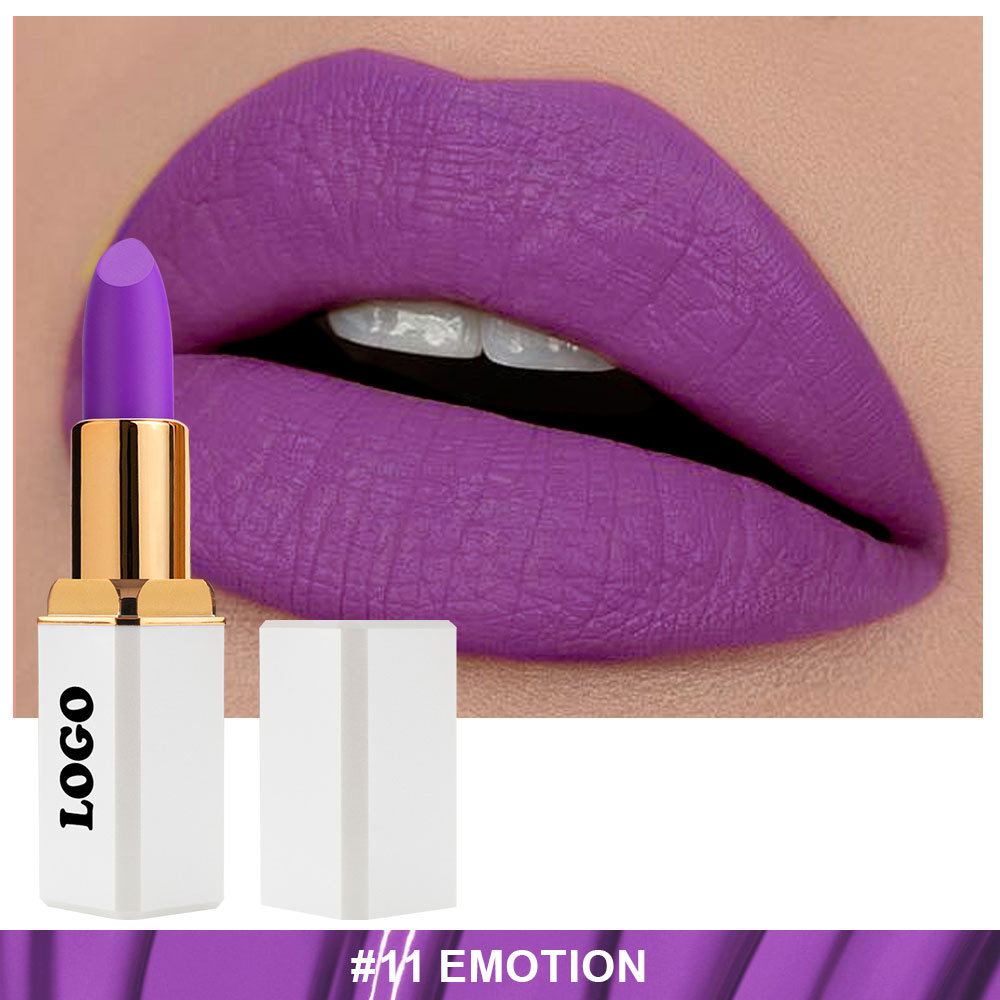 Wholesale Private Label Matte Lipstick Manufacturer LS0777