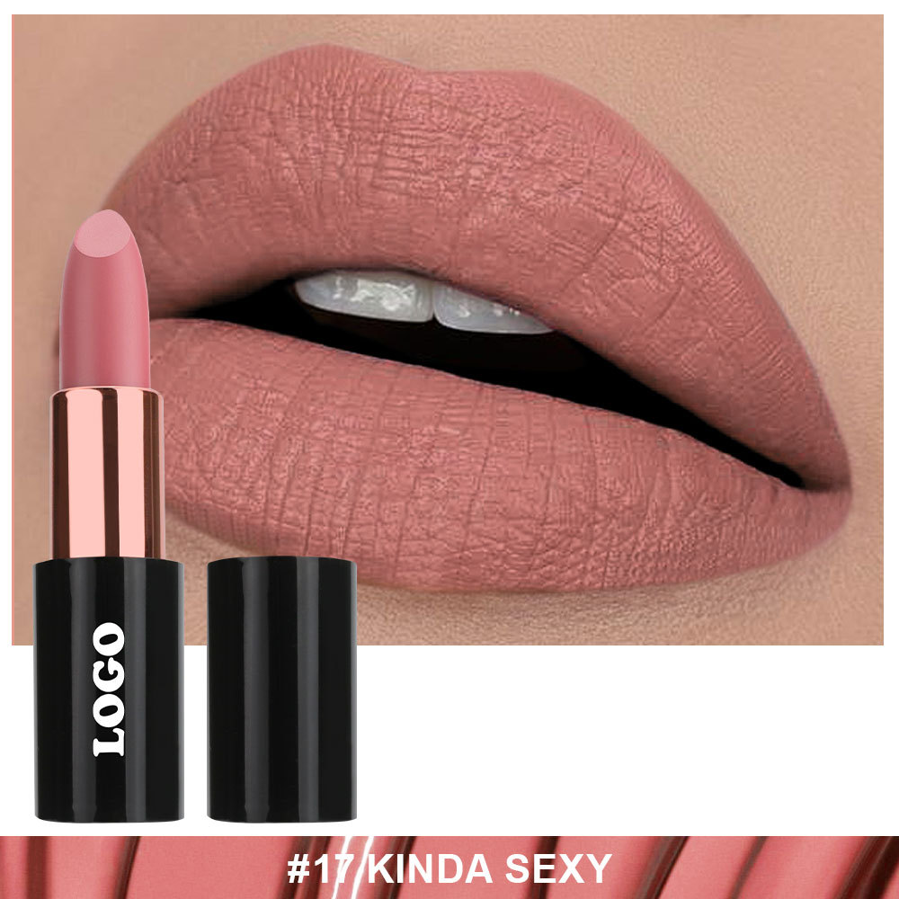 Private label lipstick supplier _ Matte formula__LS0710